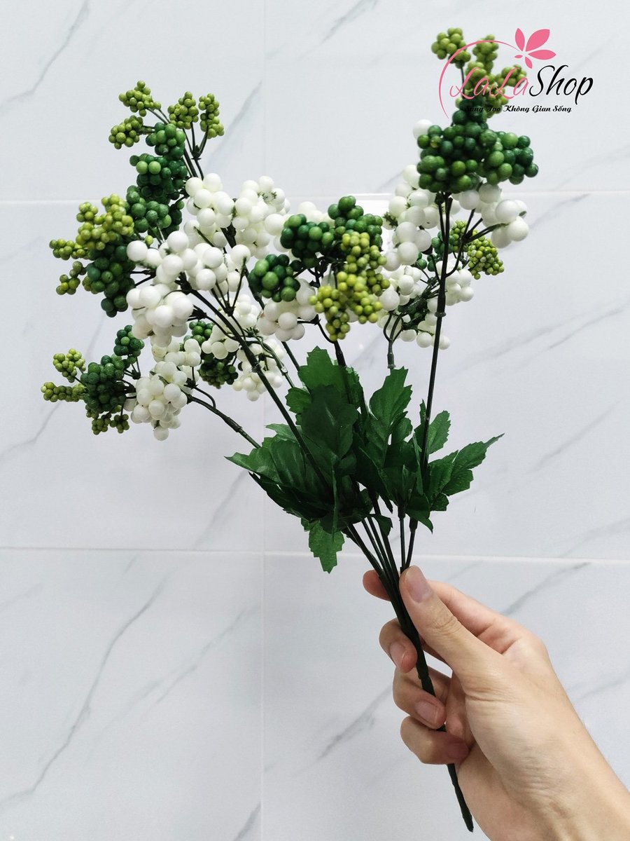 Ảnh sản phẩm - Lala Shop