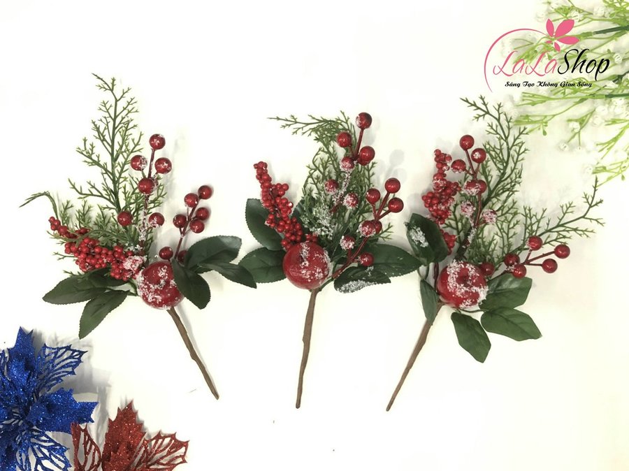 Ảnh sản phẩm - Lala Shop