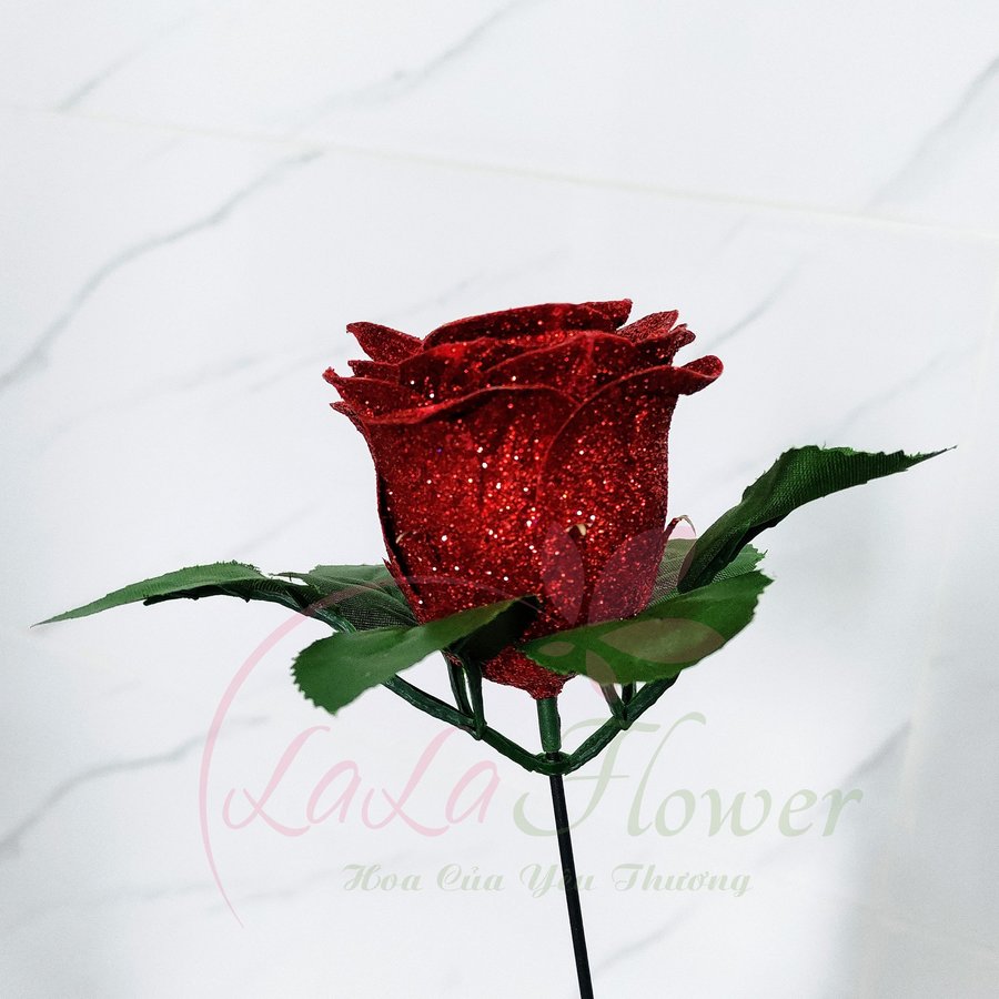 Ảnh sản phẩm - Lala Shop