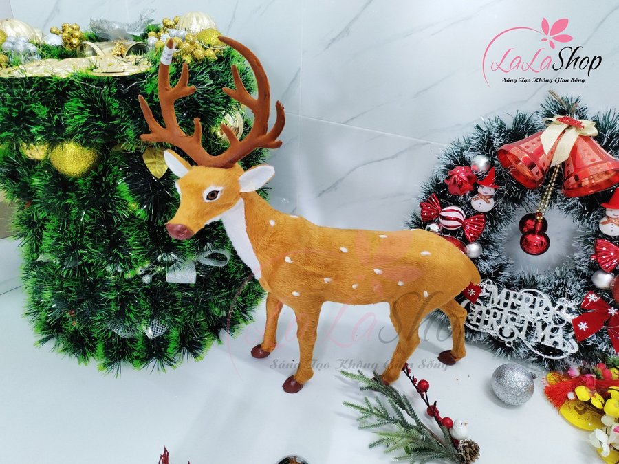 Ảnh sản phẩm - Lala Shop