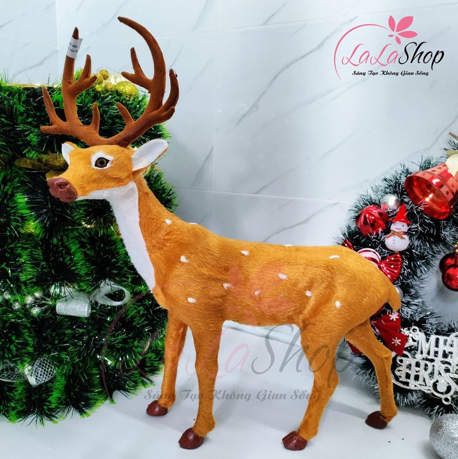 Ảnh sản phẩm - Lala Shop