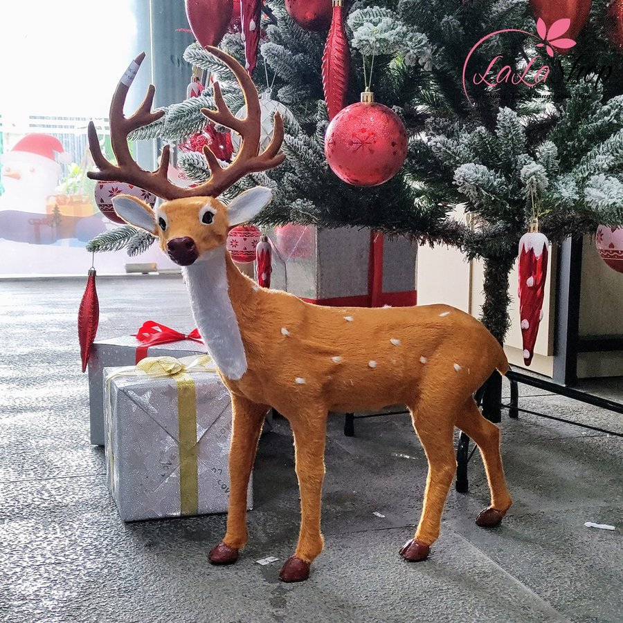 Ảnh sản phẩm - Lala Shop