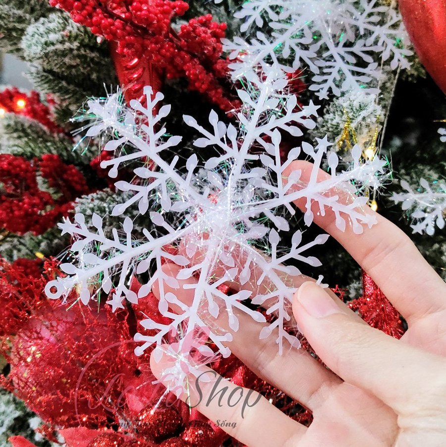 5 bông tuyết size 12cm trang trí noel
