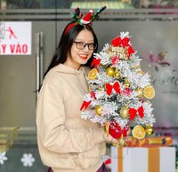 Cây Thông Noel Mini Để Bàn