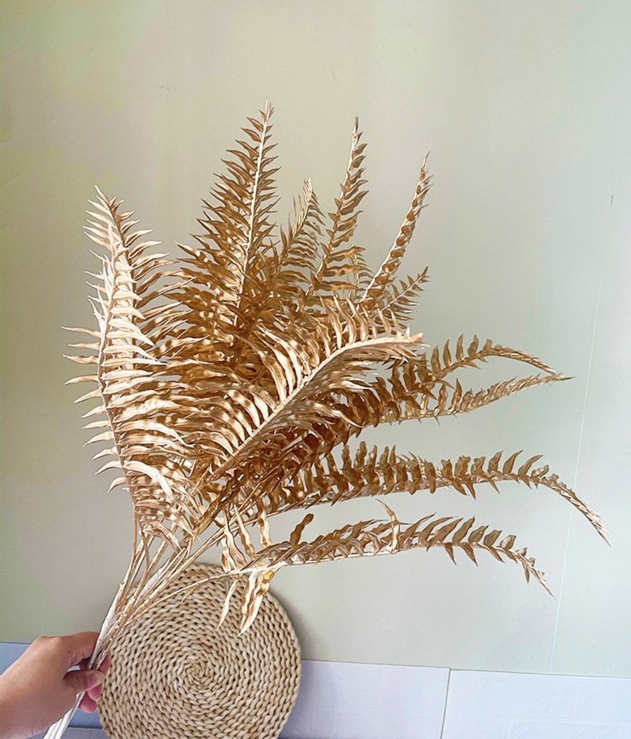 Ảnh sản phẩm - Lala Shop