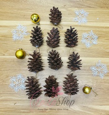 Combo 10 quả thông trang trí noel loại 1
