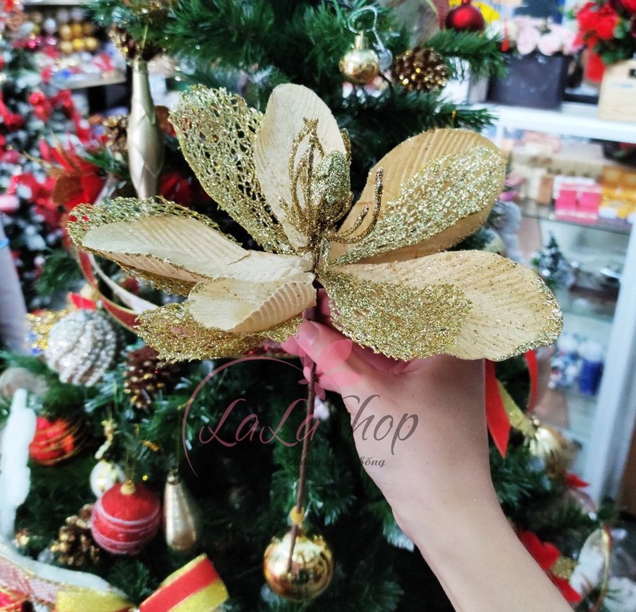 Ảnh sản phẩm - Lala Shop