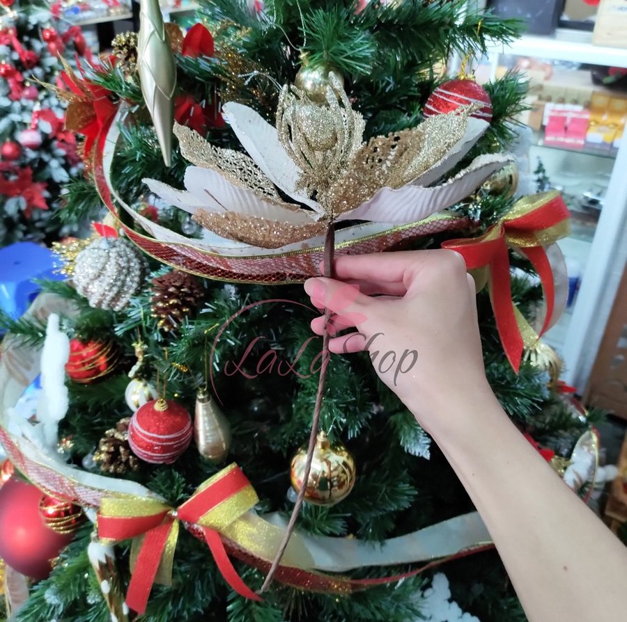 Ảnh sản phẩm - Lala Shop