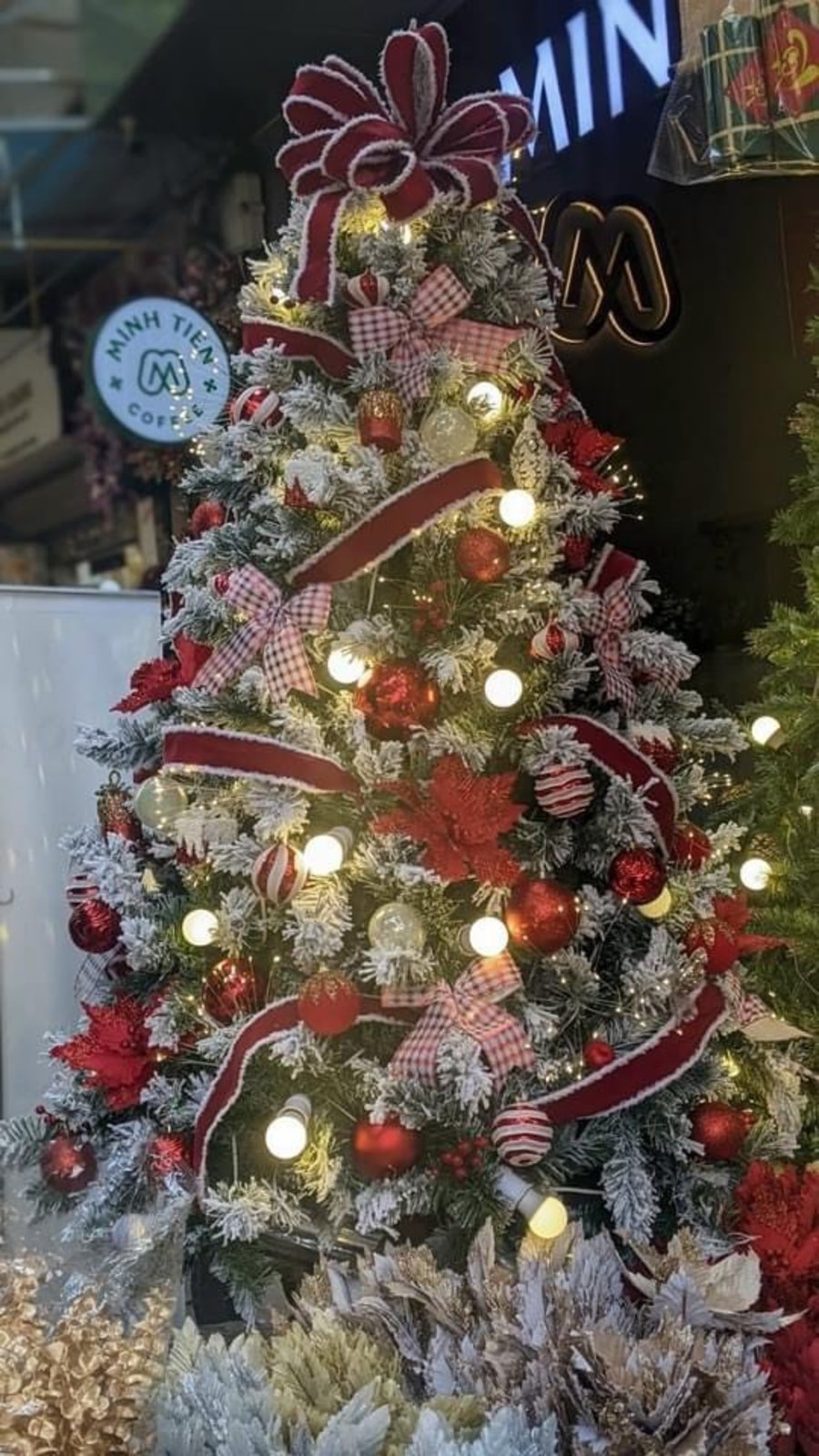 Ảnh sản phẩm - Lala Shop