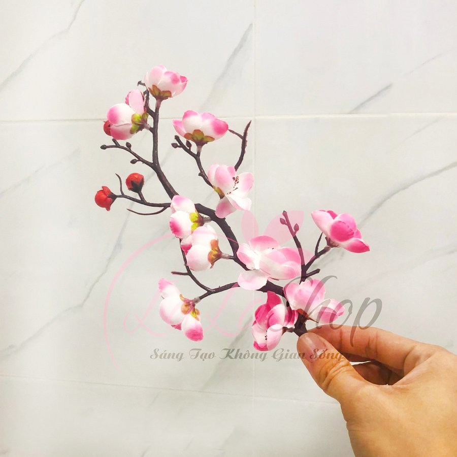 Ảnh sản phẩm - Lala Shop