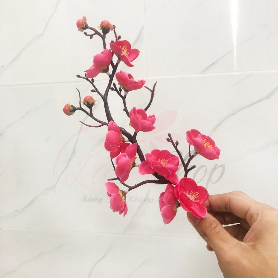 Ảnh sản phẩm - Lala Shop