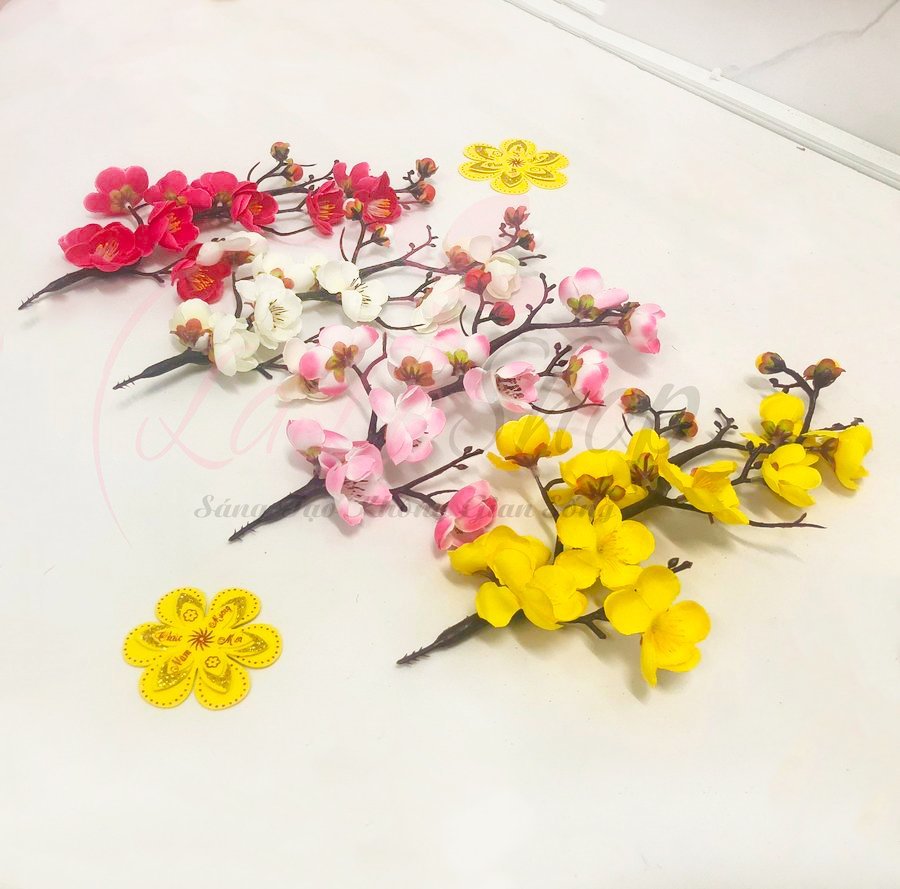 Ảnh sản phẩm - Lala Shop