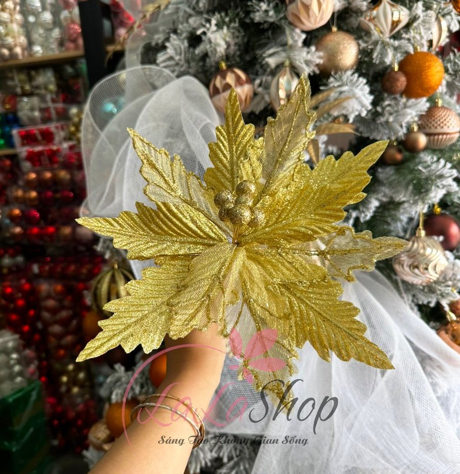 Ảnh sản phẩm - Lala Shop