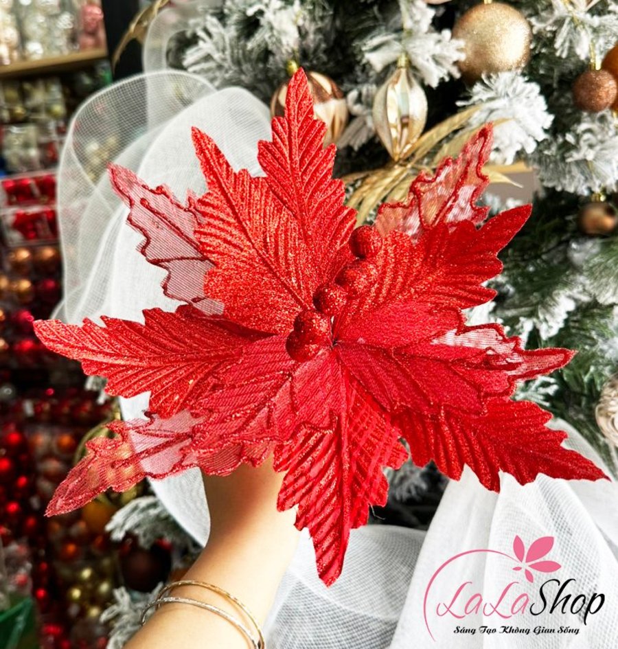 Ảnh sản phẩm - Lala Shop