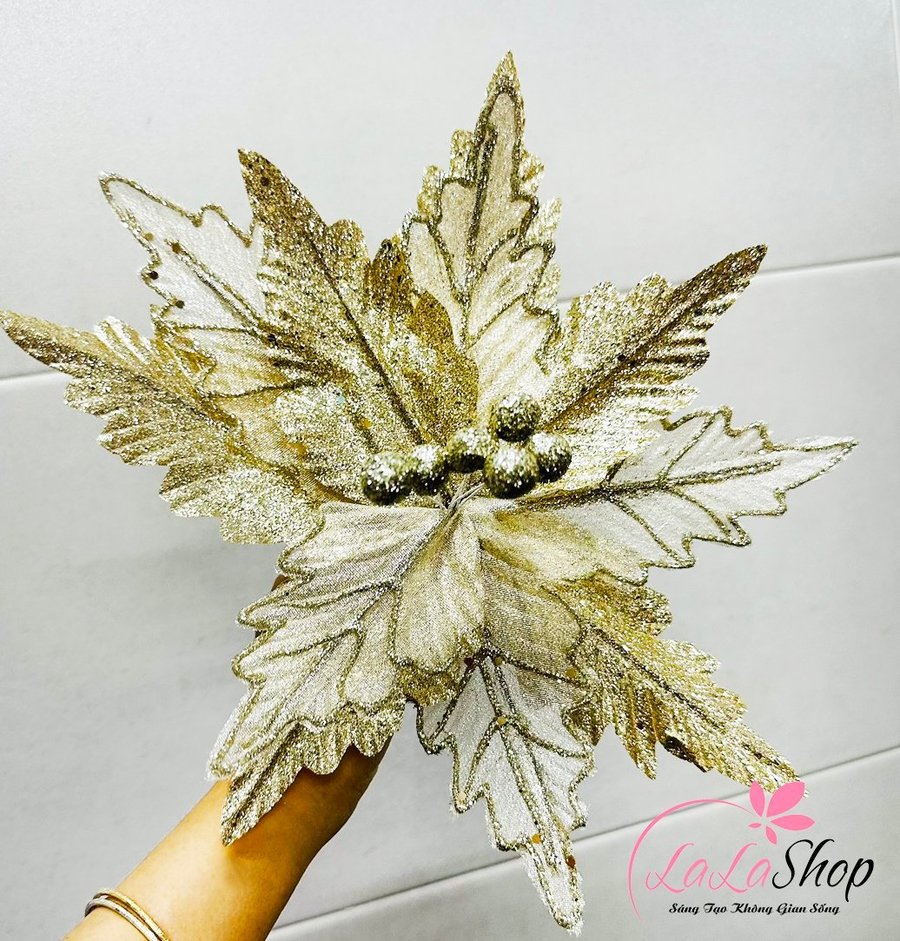 Ảnh sản phẩm - Lala Shop