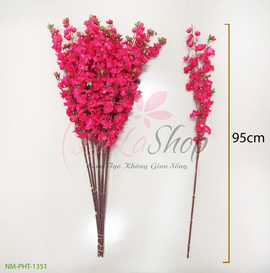 Ảnh sản phẩm - Lala Shop