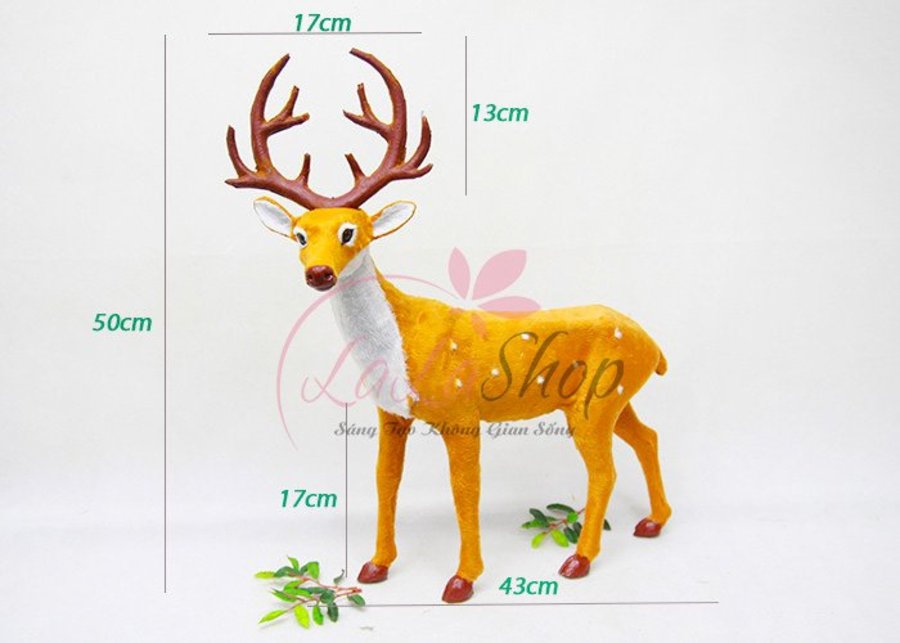 Ảnh sản phẩm - Lala Shop