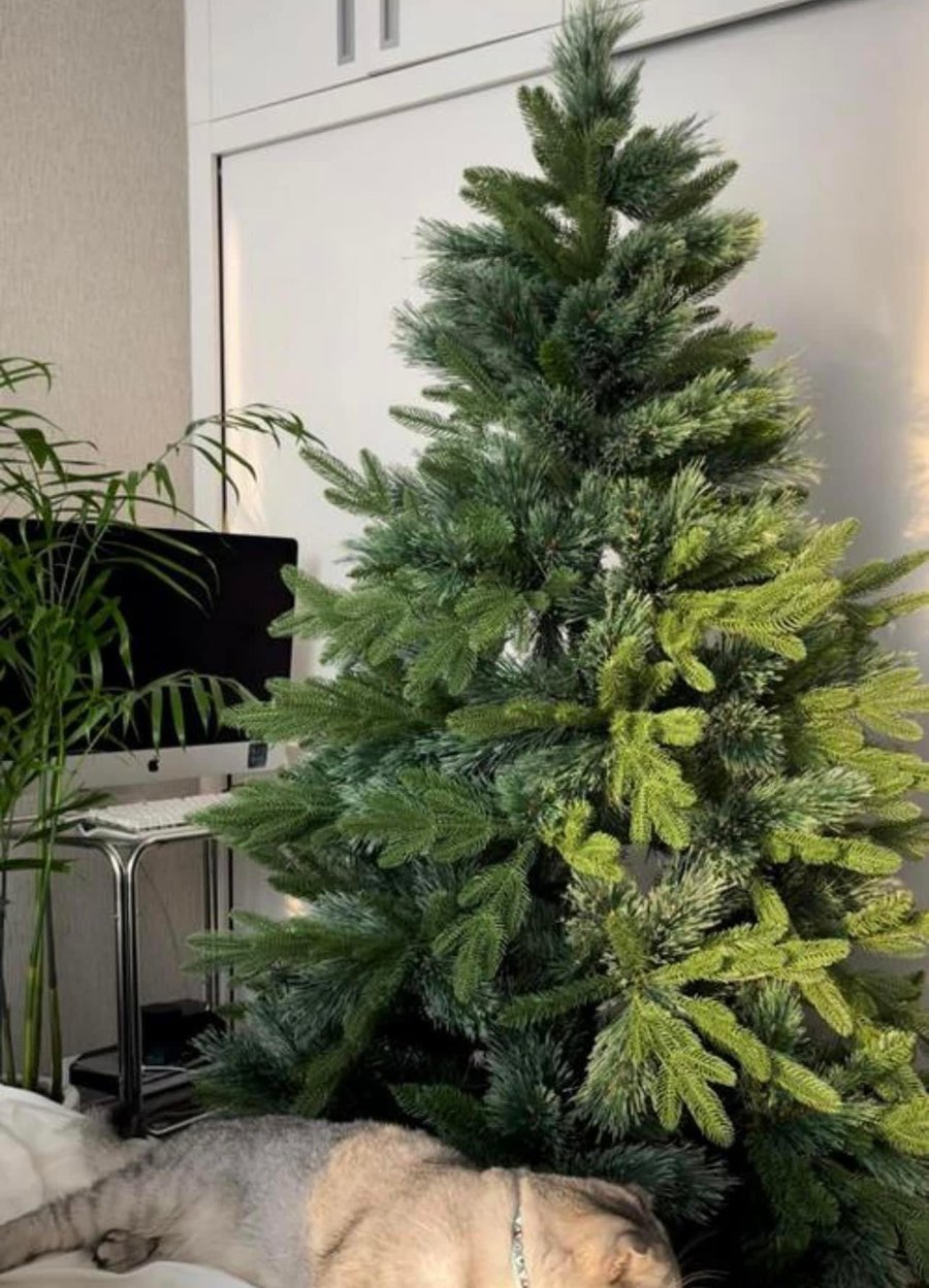 Ảnh sản phẩm - Lala Shop