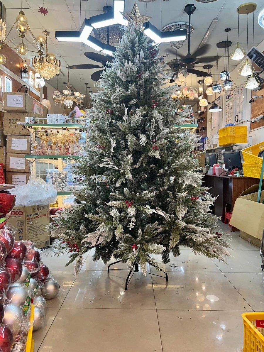 Ảnh sản phẩm - Lala Shop