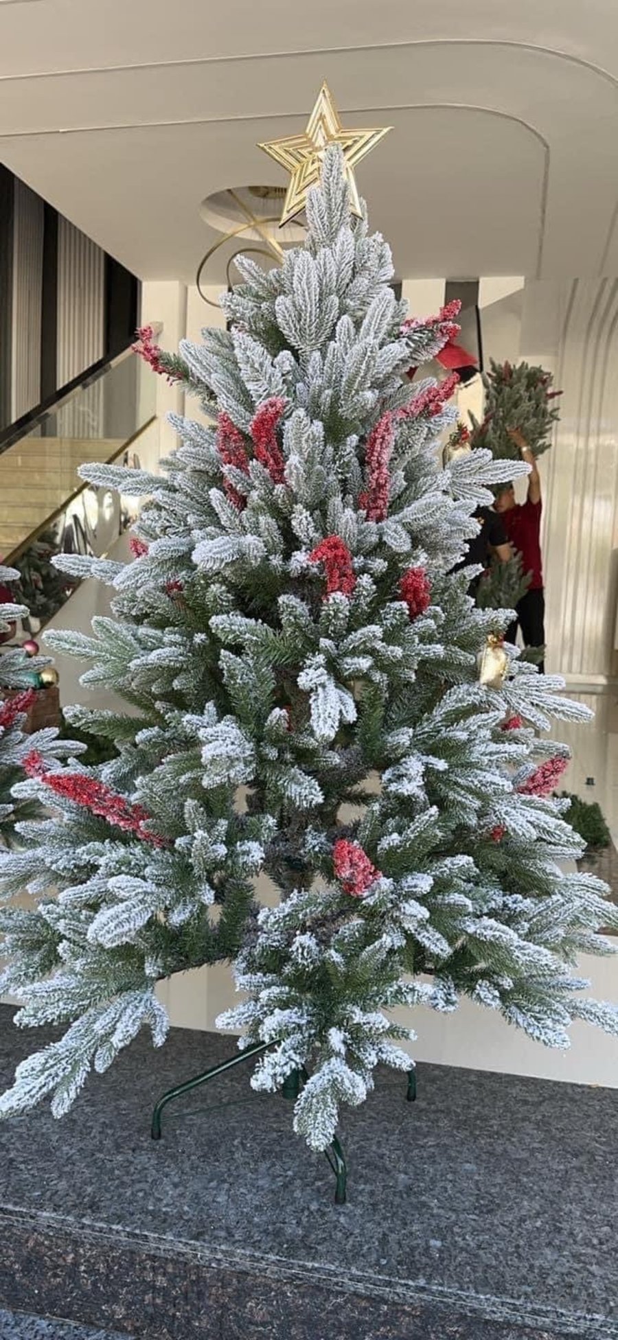 Ảnh sản phẩm - Lala Shop