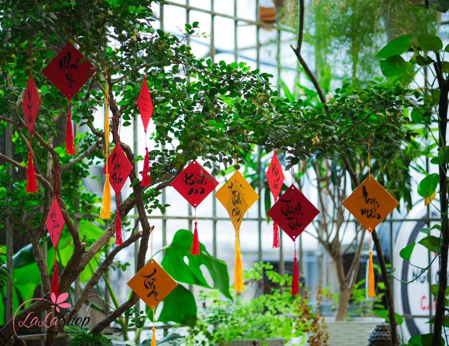 Ảnh sản phẩm - Lala Shop