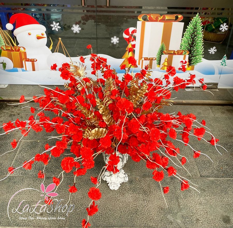 Ảnh sản phẩm - Lala Shop