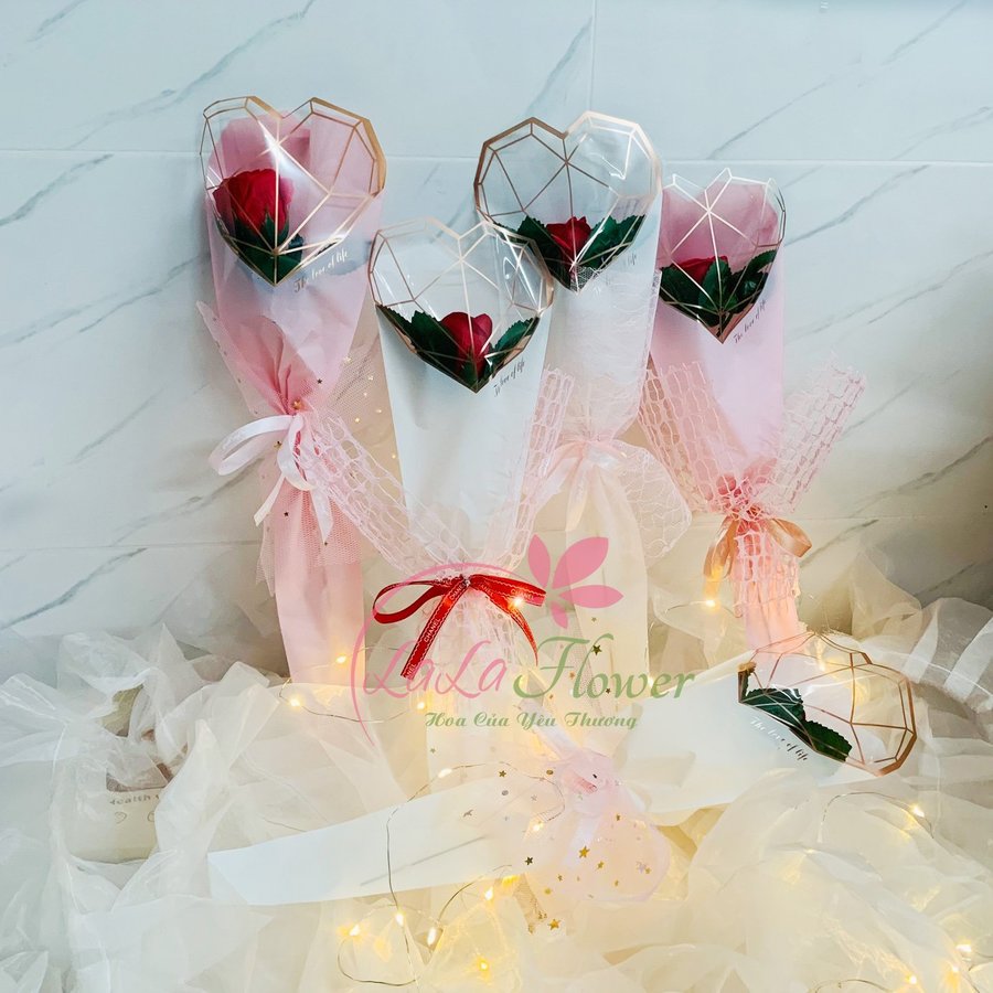 Ảnh sản phẩm - Lala Shop