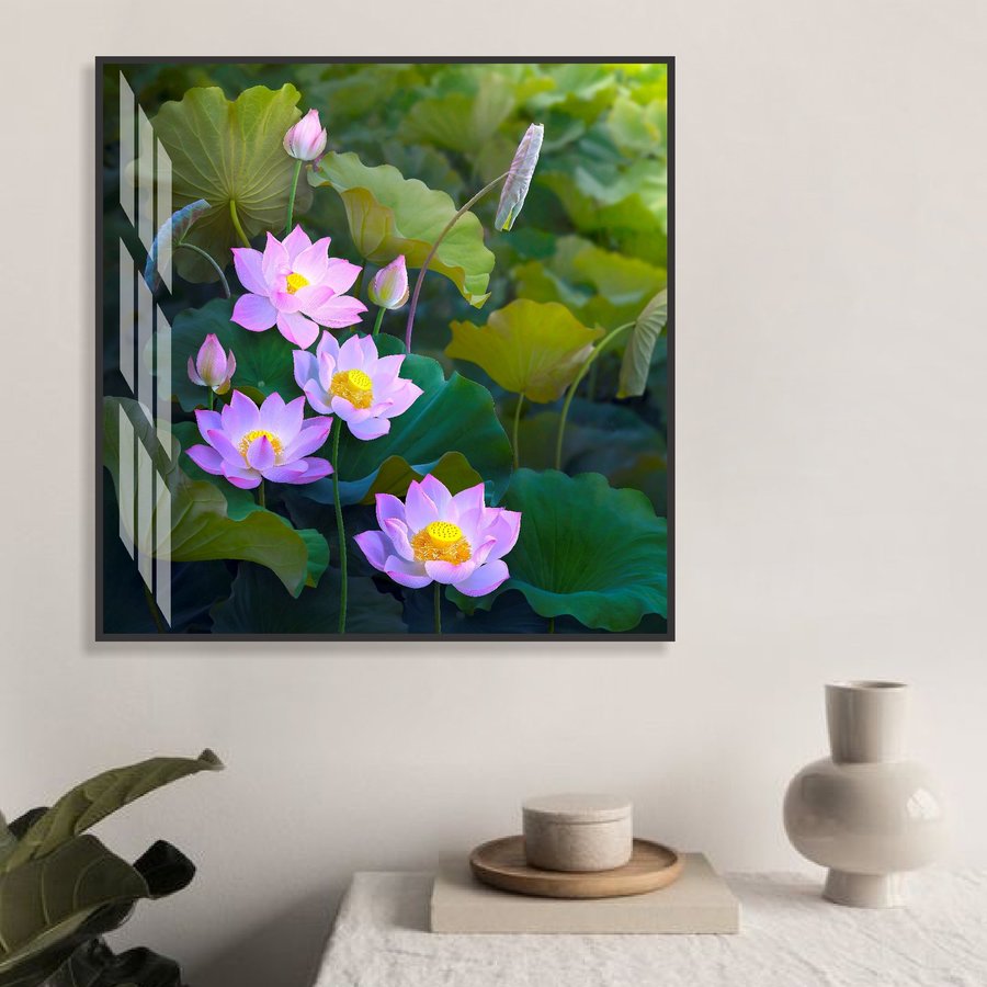 Ảnh sản phẩm - Lala Shop