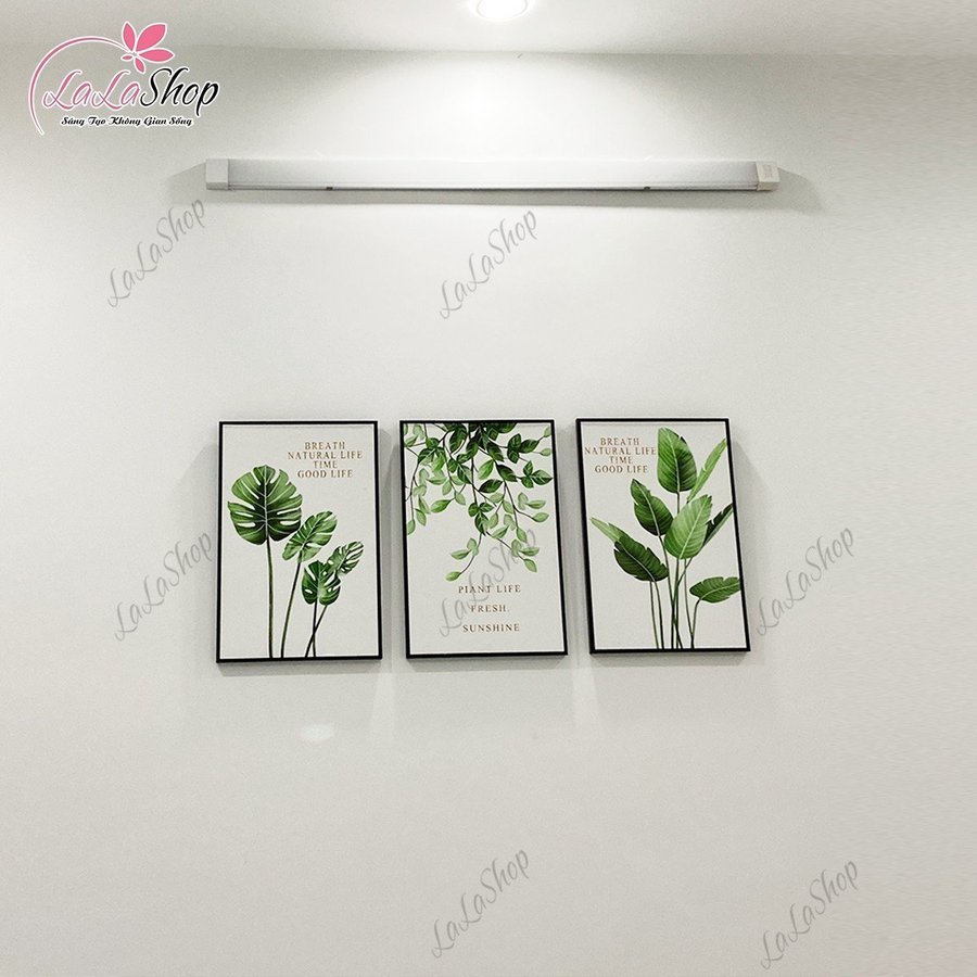 Ảnh sản phẩm - Lala Shop