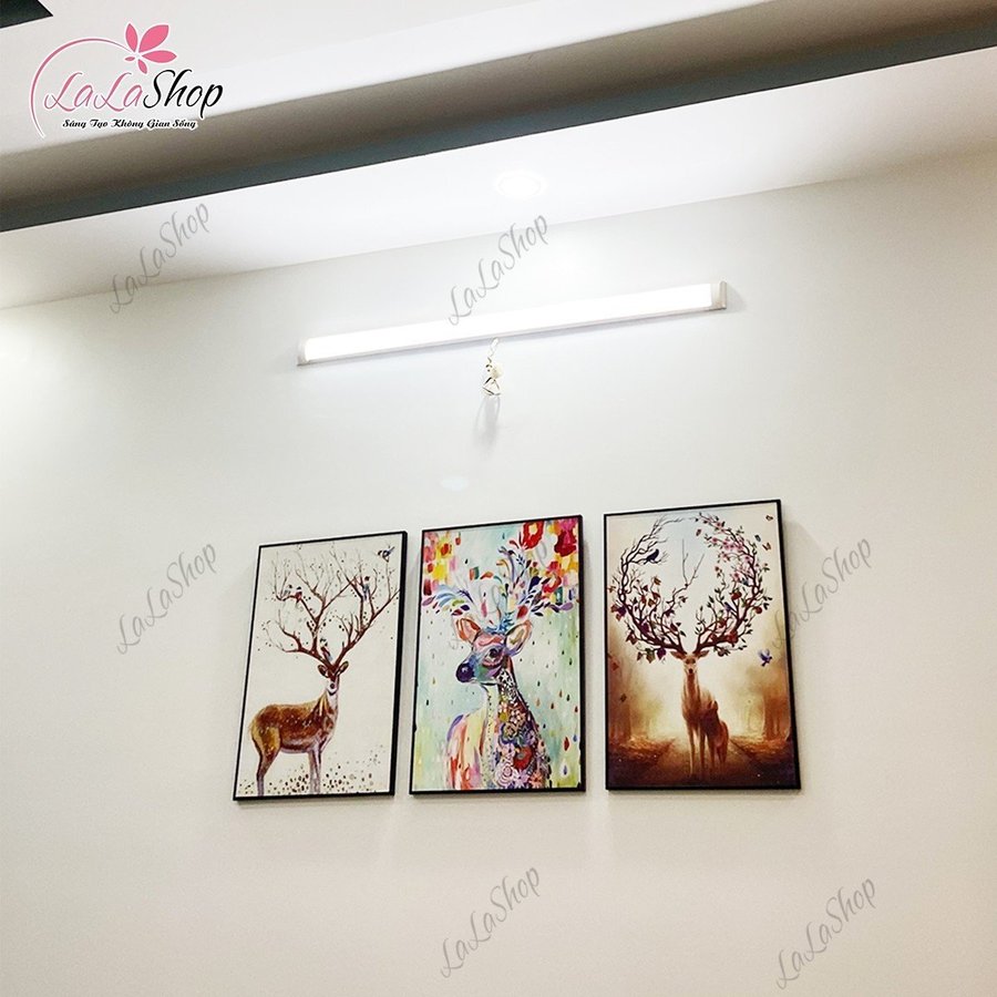 Ảnh sản phẩm - Lala Shop