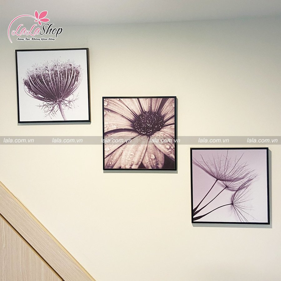 Ảnh sản phẩm - Lala Shop