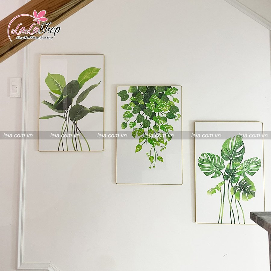 Ảnh sản phẩm - Lala Shop