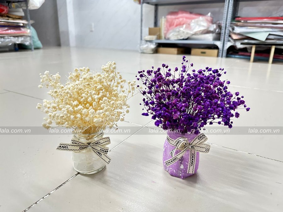 Ảnh sản phẩm - Lala Shop