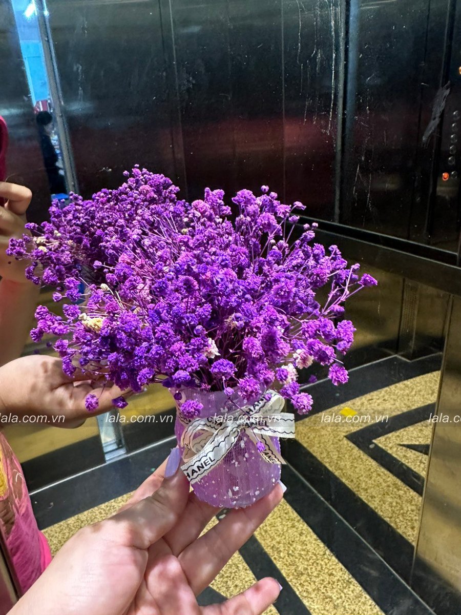 Ảnh sản phẩm - Lala Shop