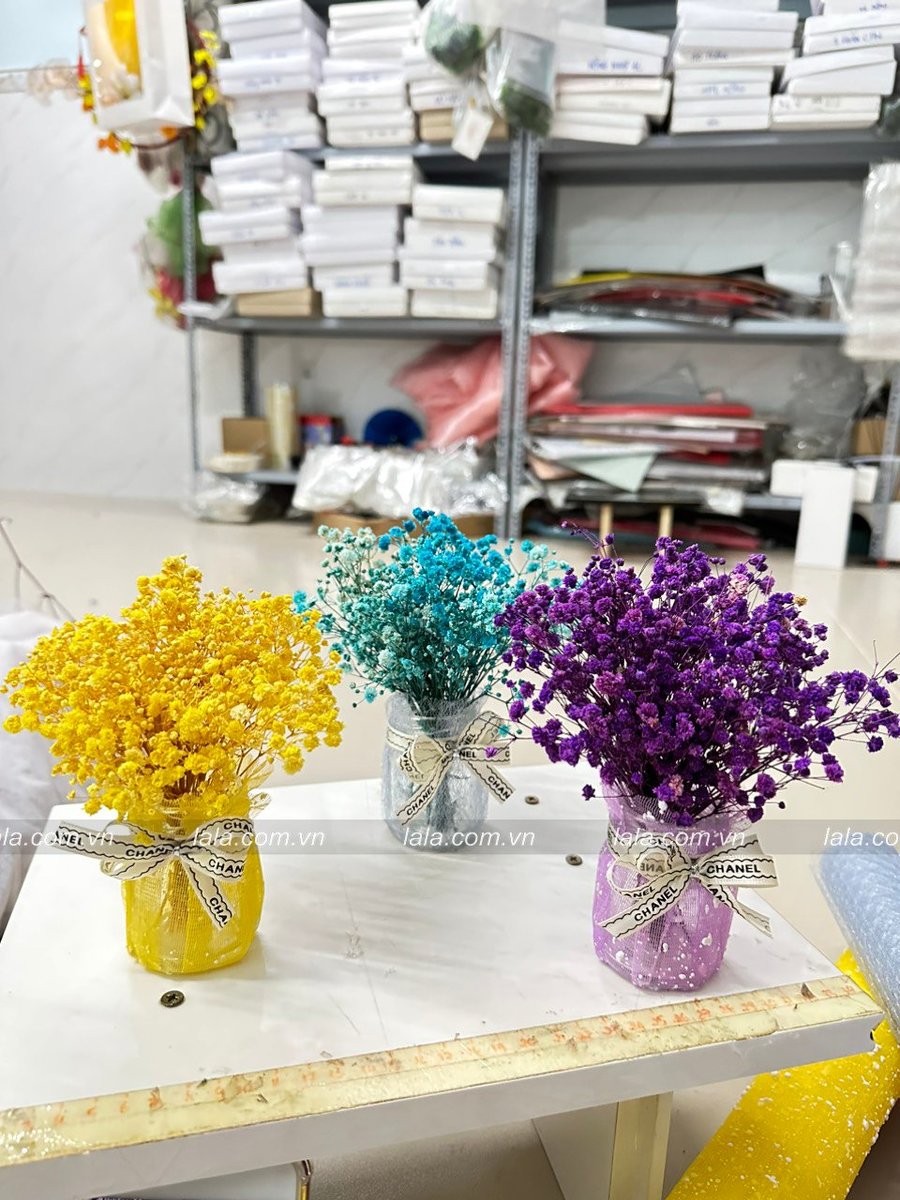 Ảnh sản phẩm - Lala Shop