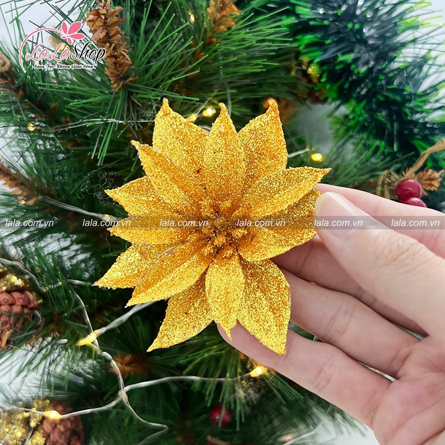 Ảnh sản phẩm - Lala Shop