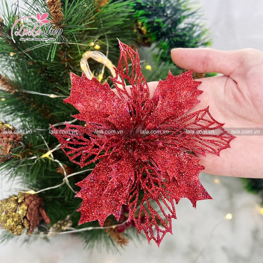 Ảnh sản phẩm - Lala Shop