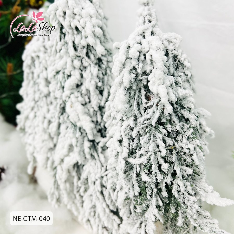 Ảnh sản phẩm - Lala Shop