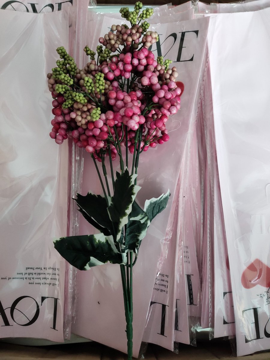 Ảnh sản phẩm - Lala Shop