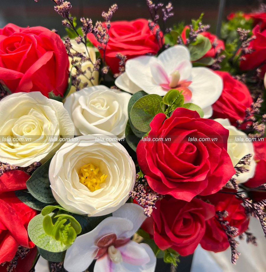 Ảnh sản phẩm - Lala Shop