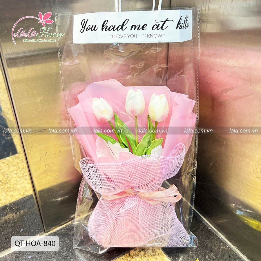 Ảnh sản phẩm - Lala Shop