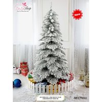 Cây Thông Noel Chưa Trang Trí