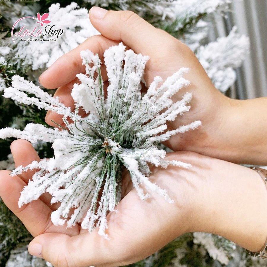 Ảnh sản phẩm - Lala Shop