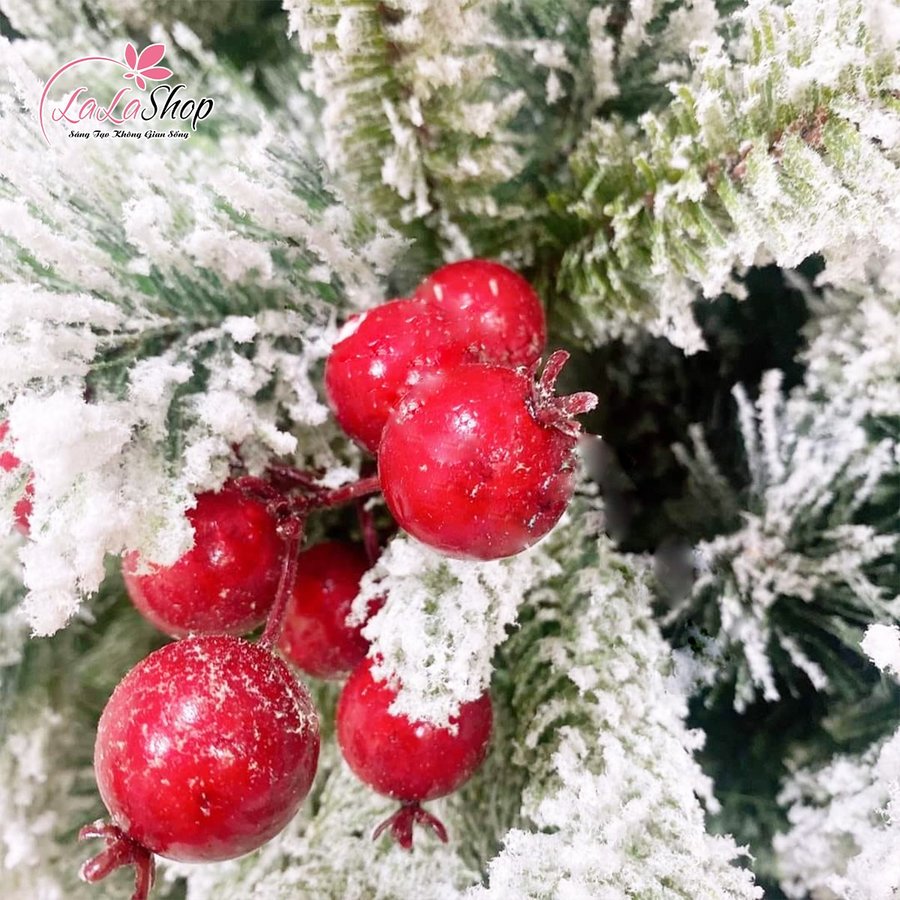 Ảnh sản phẩm - Lala Shop