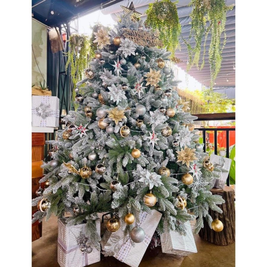 Ảnh sản phẩm - Lala Shop