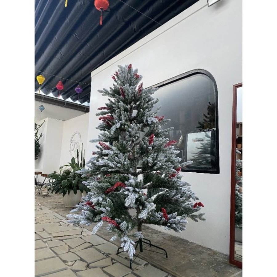 Ảnh sản phẩm - Lala Shop