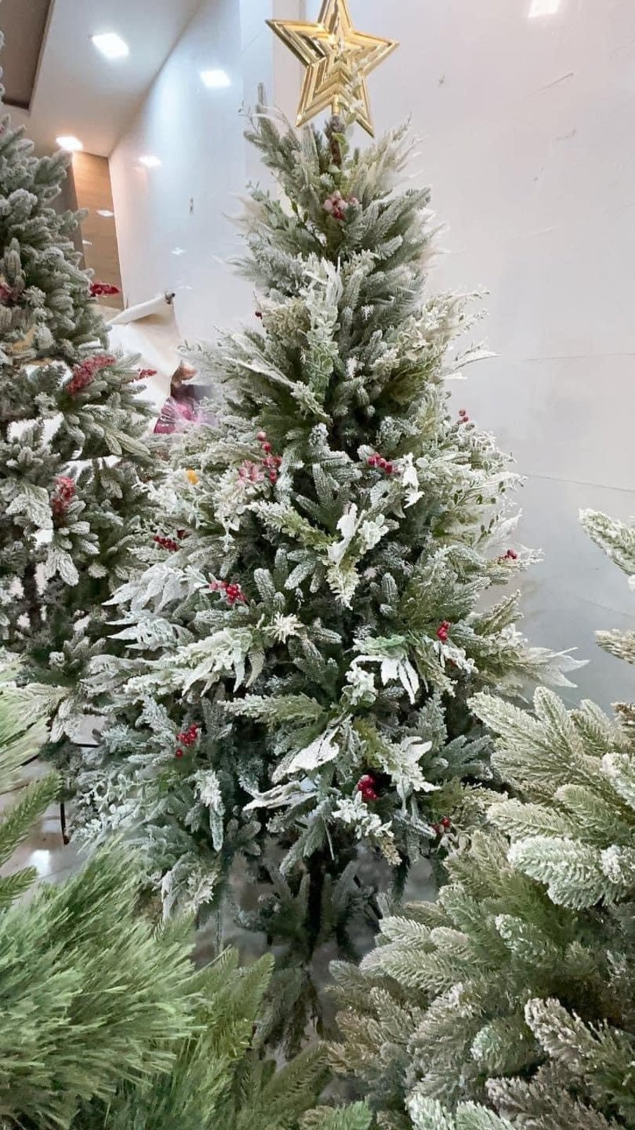 Ảnh sản phẩm - Lala Shop