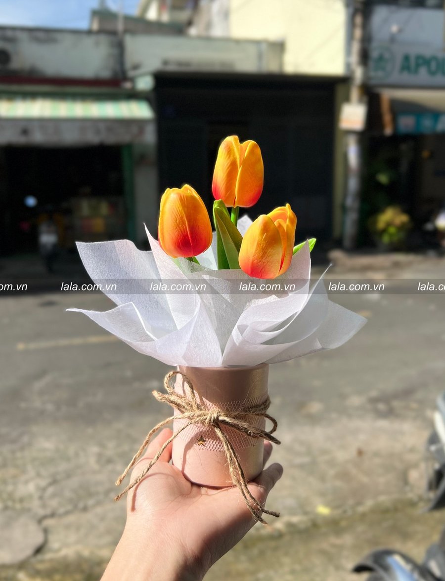 Ảnh sản phẩm - Lala Shop