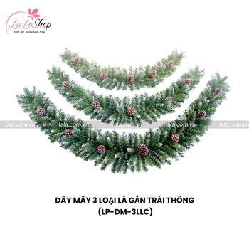 Dây Mây 3 Loại Lá Có Gắn Trái Thông