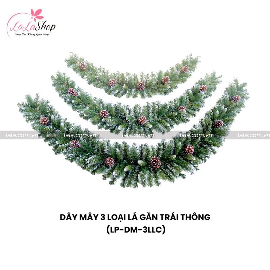 Dây Mây 3 Loại Lá Có Gắn Trái Thông